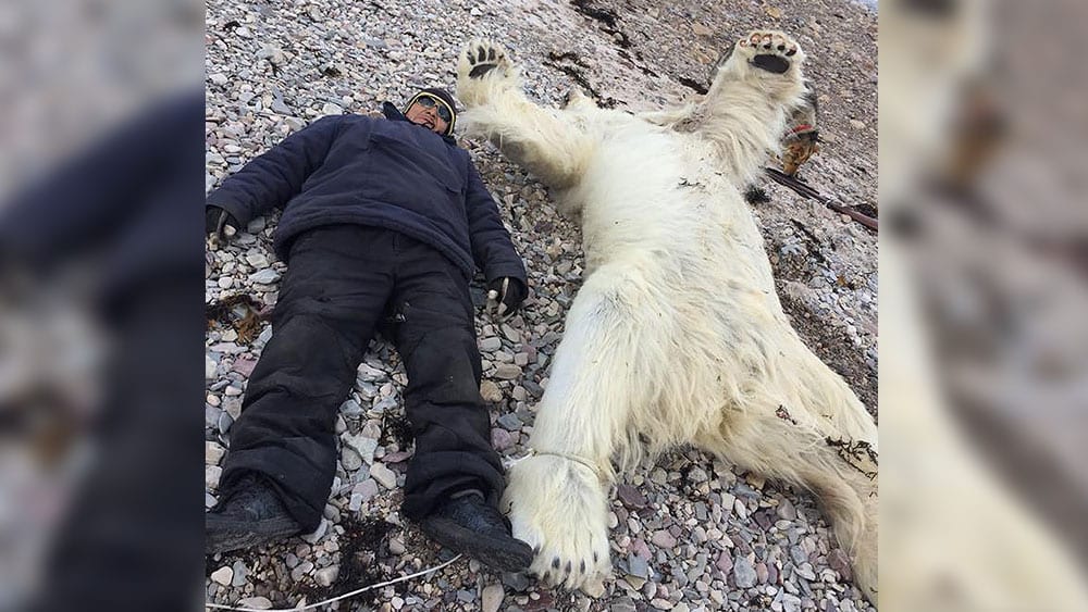 Issiah Oyukuluk lies next to dead polar bear in Arctic Bay, Nunavut.
