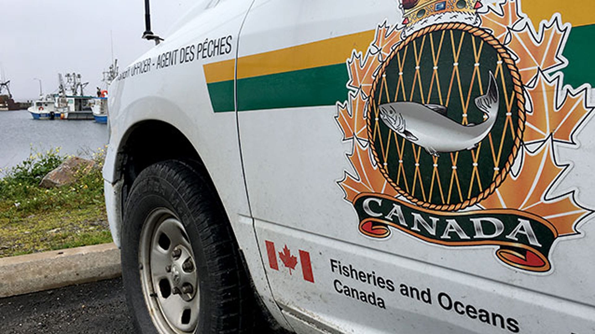 DFO has a 'take it or leave it' approach to fishing rights that needs to  change say Mi'kmaw leaders