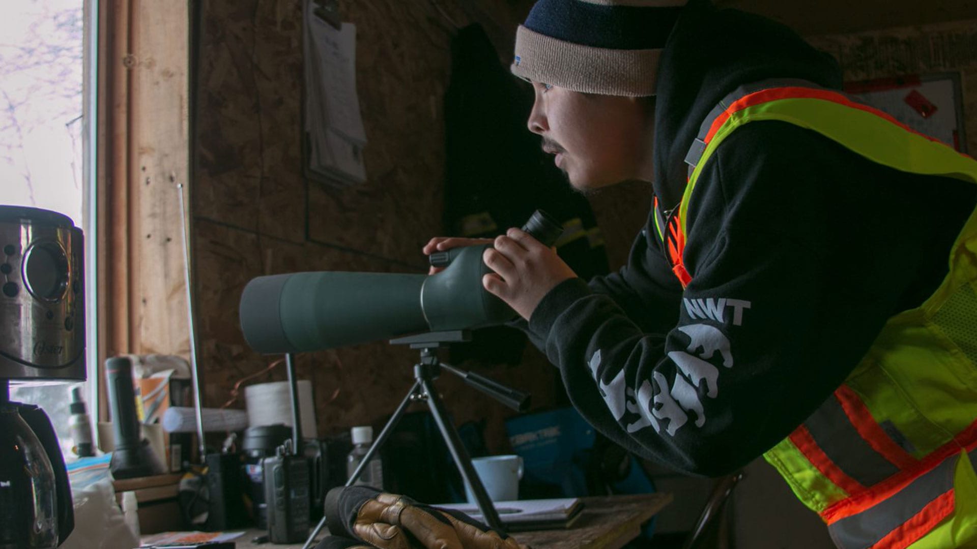 Caribou harvest monitoring launches in N.W.T. for Bathurst herd