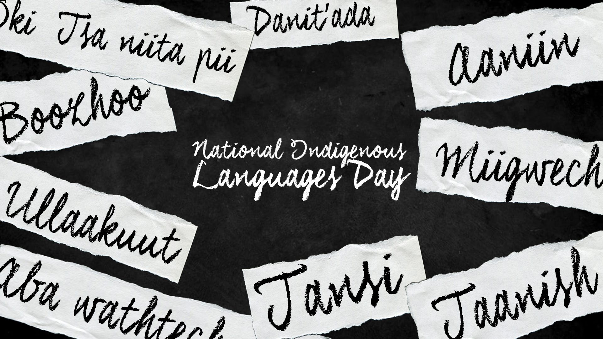 With National Indigenous Languages Day Approaching, InFocus Talks Languages