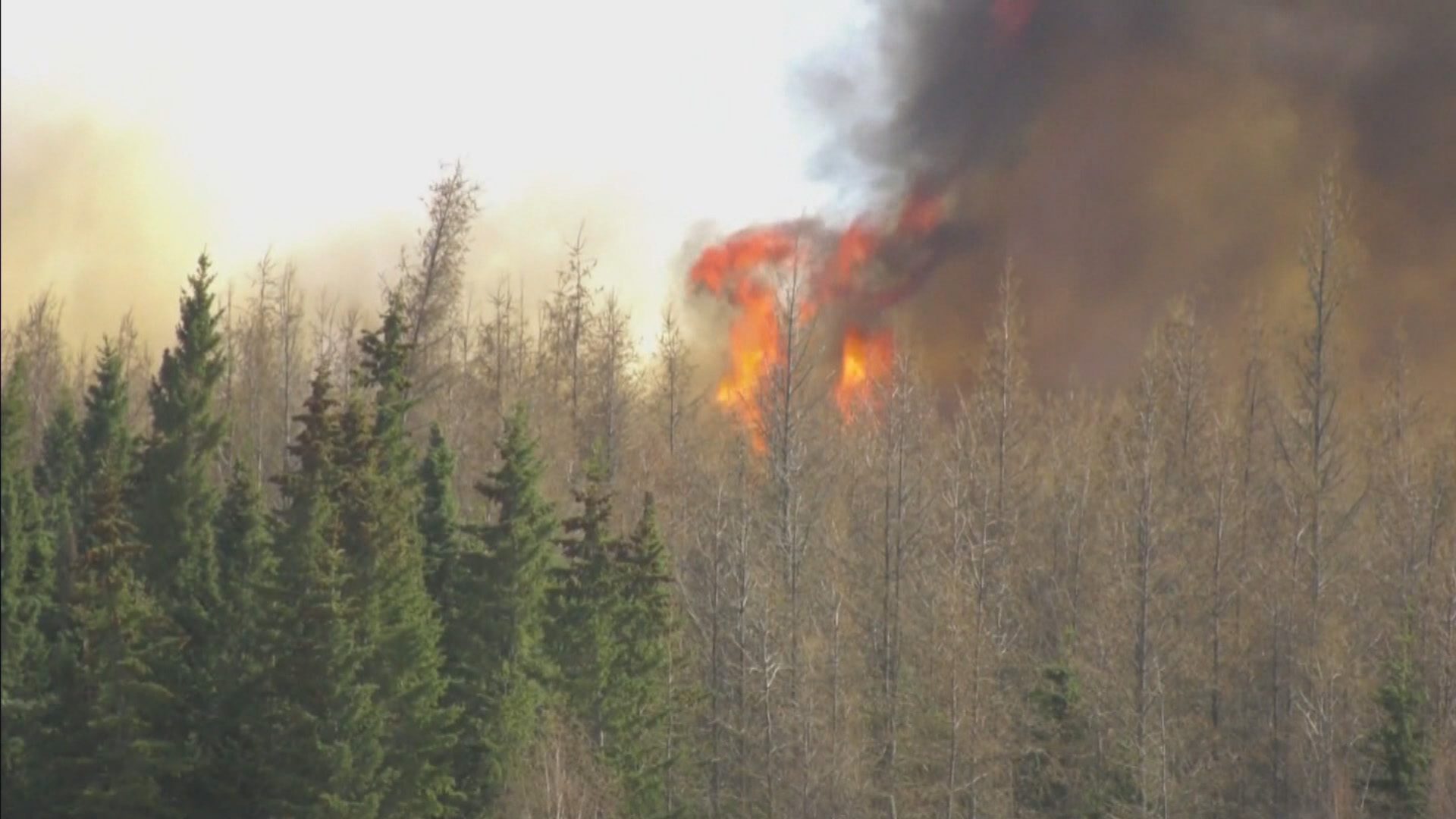 Des Feux De Forêt Aux Inondations: Une Semaine Difficile Pour Les 