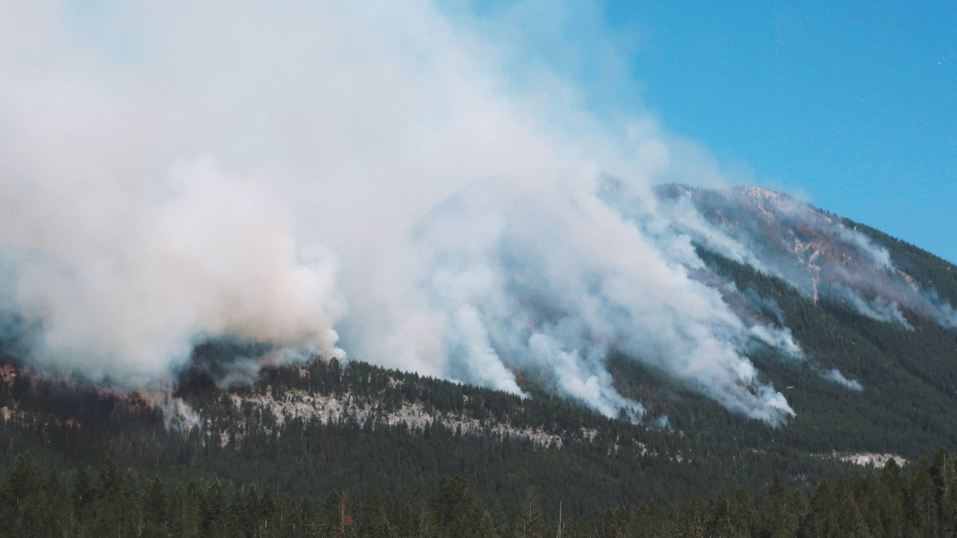 Cultural burns can play a kay part in forest management